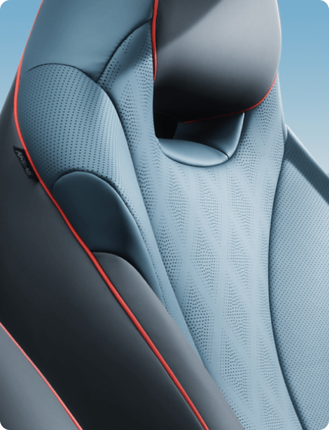 BYD Dolphin seat headrest