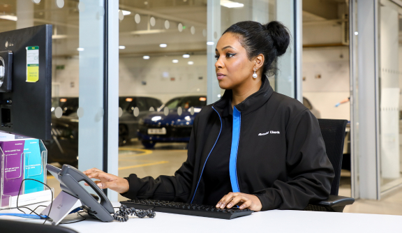 Sales Consultant using computer