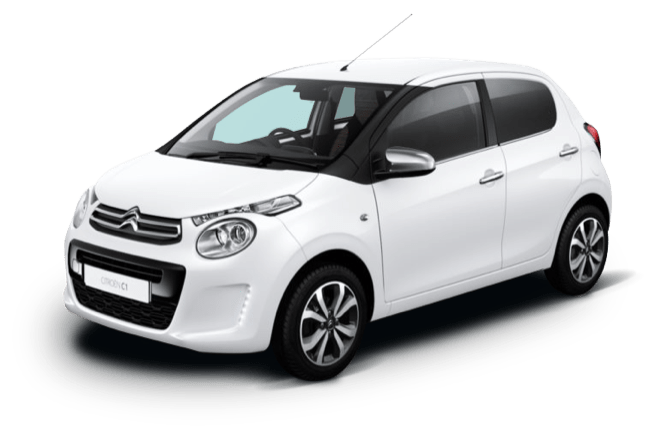 Lipizzan White citroen