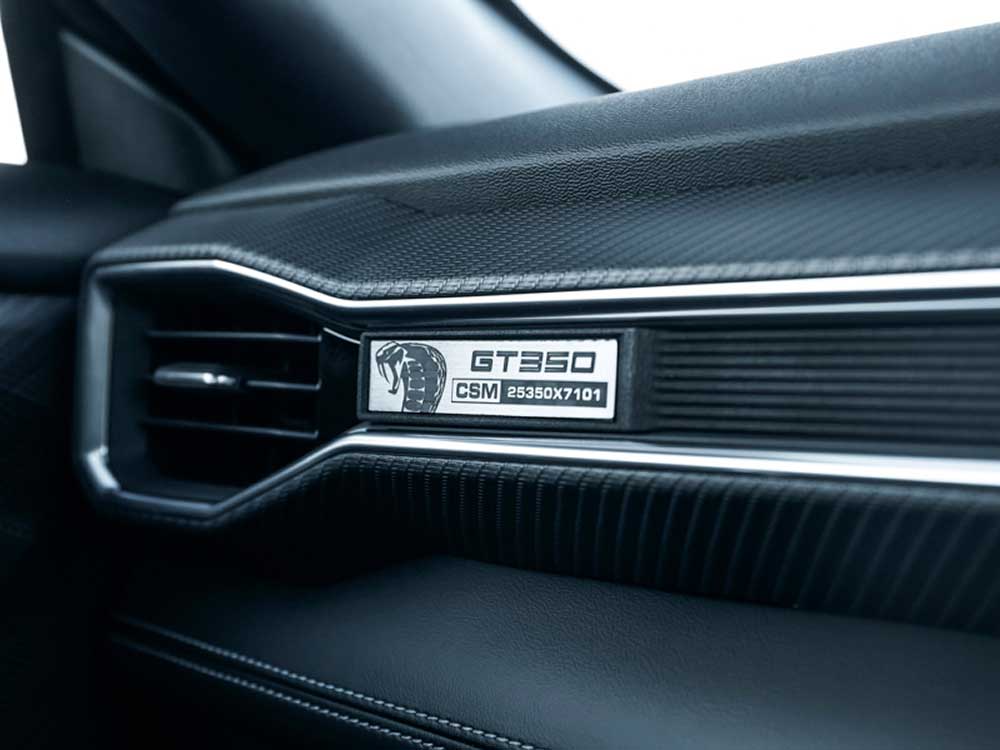 Mustang GT30 Interior