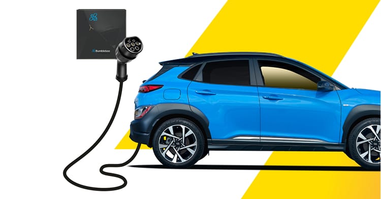 Bumbleebee Home Charger