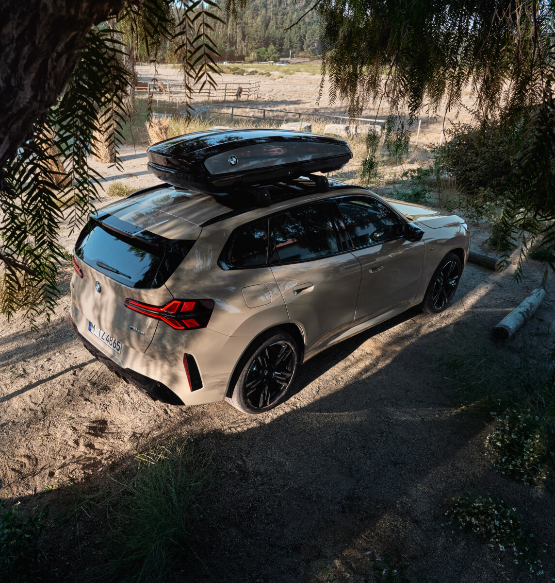 BMW vehicle within trees