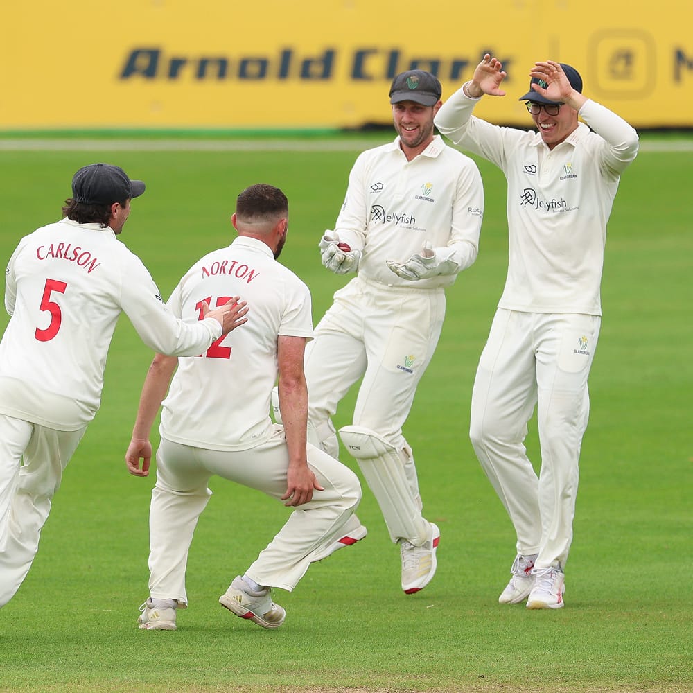 Cricket players celebrating a wicket on the field.